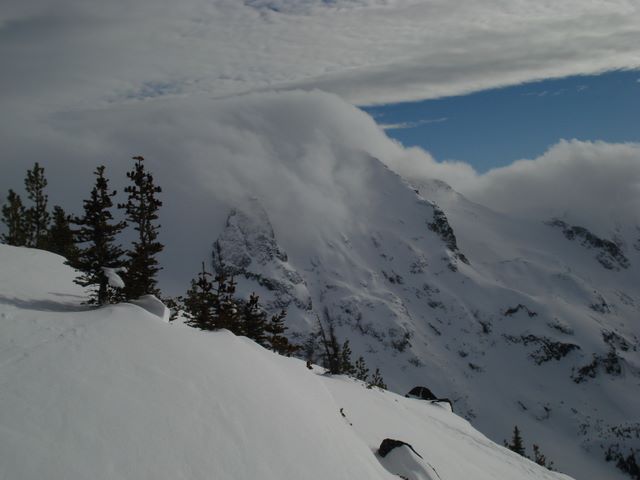 Joffre Shoulder