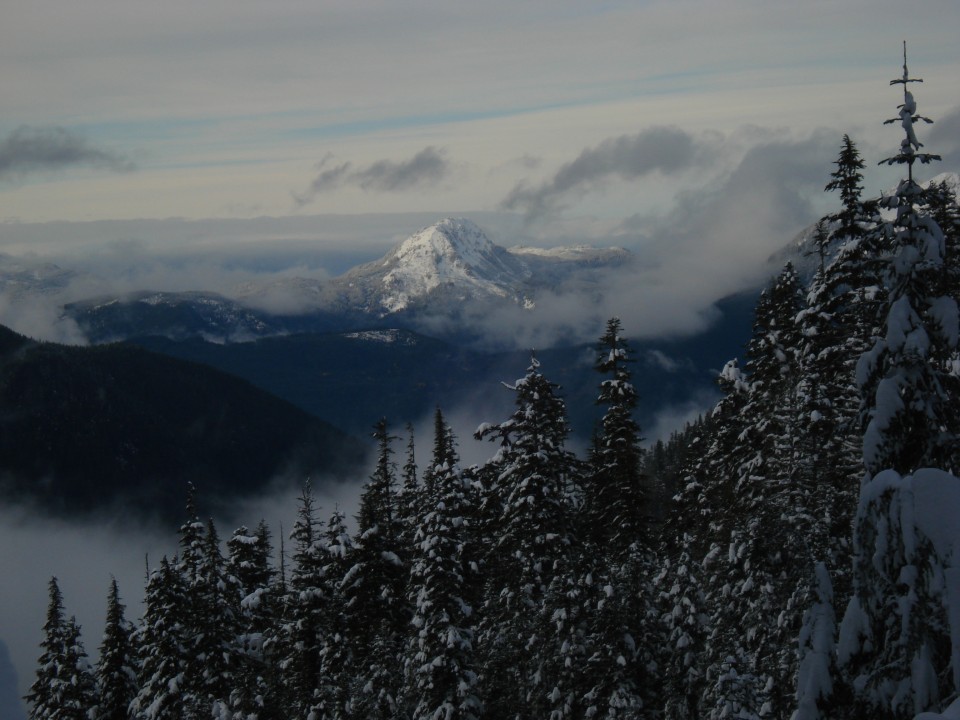 Heliotrope Ridge