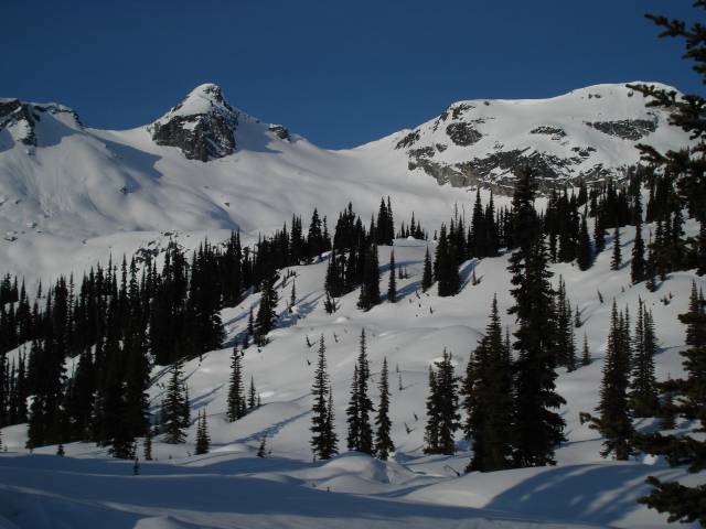 CeriseCreek