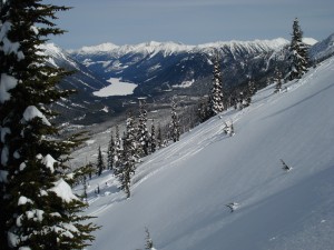 dsc07133 Powder on Duffy lake road